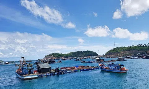 Quy định cụ thể về mức thu tiền sử dụng khu vực biển