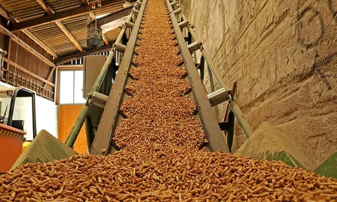 Kon Tum: Chấp thuận chủ trương đầu tư dự án 100 tỷ đồng