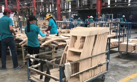 Ngành gỗ Việt Nam phục hồi nhanh chóng sau đại dịch
