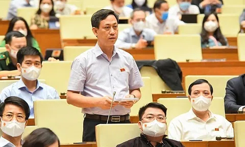Đại biểu Quốc hội tha thiết đề nghị Chính phủ cắt giảm các khoản chi không cần thiết
