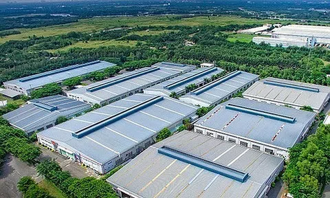 Quảng Trị: Tập đoàn Financière B’Lao đầu tư 25 triệu USD cho dự án sản xuất đồ thể thao
