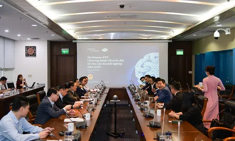 Chủ tịch Nguyễn Hoàng Anh tiếp đại diện Tập đoàn FPT và Công ty McKinsey