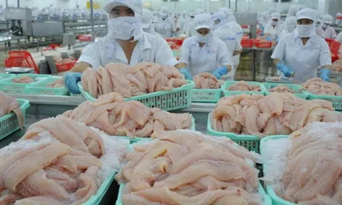 Tăng cường quảng bá thương hiệu cá tra, cá basa Việt Nam, giúp nâng cao giá trị và vị thế