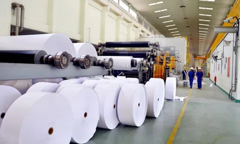 Giấy Việt còn chiếm tỷ trọng rất nhỏ trên thị trường xuất khẩu
