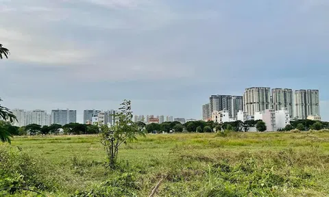 TP.HCM: Đảm bảo hiệu quả phối hợp trong đấu giá quyền sử dụng đất
