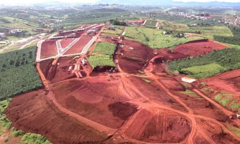 Lâm Đồng: Thanh tra vào cuộc vụ xẻ đồi chè để phân lô, bán nền
