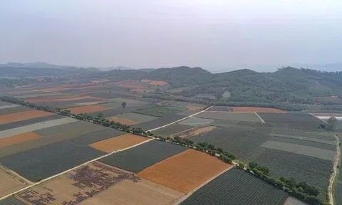 Ninh Bình: 456 dự án phải thu hồi đất trong năm 2022