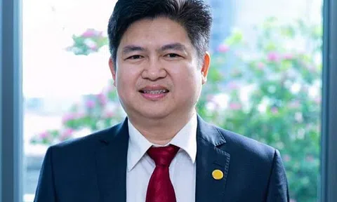 Diễn biến cổ phiếu Thuduc House trước và sau khi TGĐ Nguyễn Vũ Bảo Hoàng bị bắt