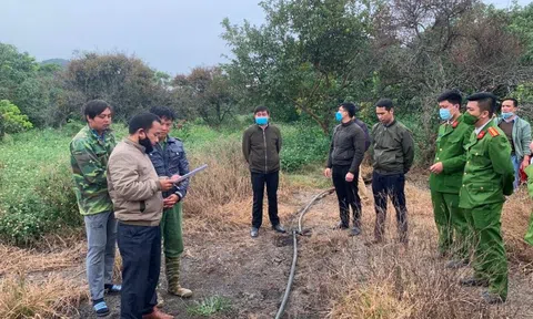 Sơn La: Bắt quả tang 1 cơ sở chăn nuôi lợn lắp đặt đường ống xả thải vào lòng đất