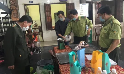 Thừa Thiên – Huế: Phát hiện nhà hàng ở miền núi tàng trữ động vật hoang dã trái phép