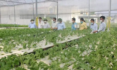 Đảm bảo công bằng trong tiếp cận đất đai