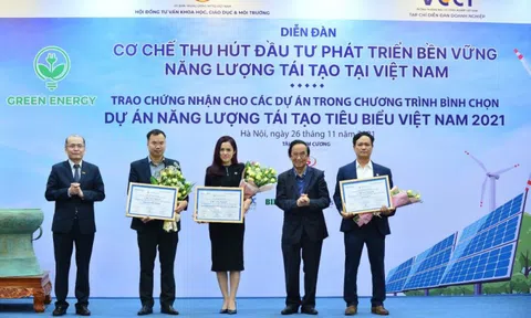 Hai nhà máy điện mặt trời của BIM Energy đứng trong Top 10 Dự án Năng lượng tái tạo tiêu biểu Việt Nam 2021