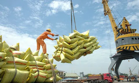 Xuất khẩu gạo Việt Nam kỳ vọng đạt mục tiêu xuất khẩu cả năm 2021