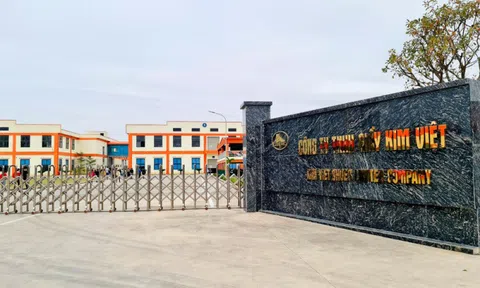 Thanh Hóa: Xử phạt Công ty Giầy Kim Việt 70 triệu đồng do vi phạm về môi trường