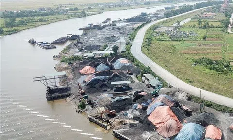 Ninh Bình: Vi phạm hành lang an toàn đê điều kéo dài, do đâu?