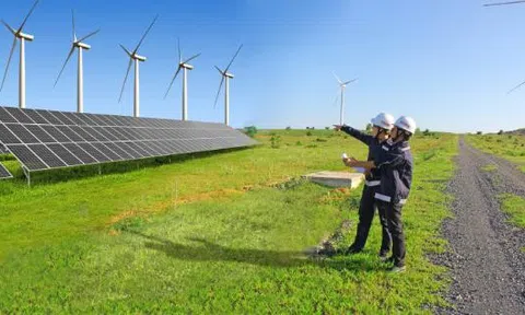 Quy hoạch điện VIII, Thái Bình đề xuất bổ sung 8.700 MW điện gió