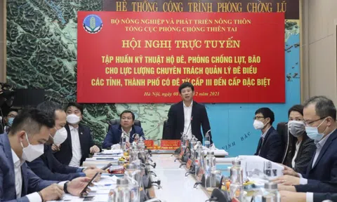 Chú trọng khắc phục sự cố, xử lý vi phạm pháp luật đê điều