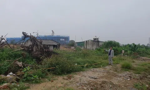 Sầm Sơn (Thanh Hóa): Cần kiểm tra lại nguồn gốc đất của gia đình ông Lê Cao Phong