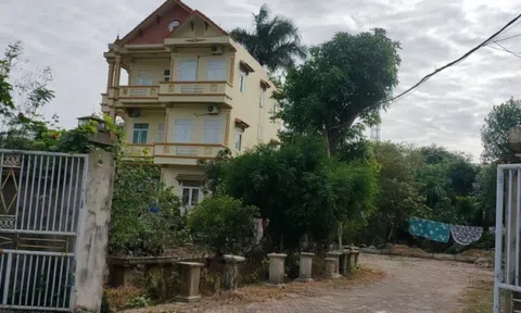 TP Thanh Hóa: “Biến tướng” hàng nghìn mét vuông đất cho thuê làm trang trại