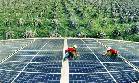 Cách nào để Việt Nam đạt phát thải ròng bằng “0” vào 2050?