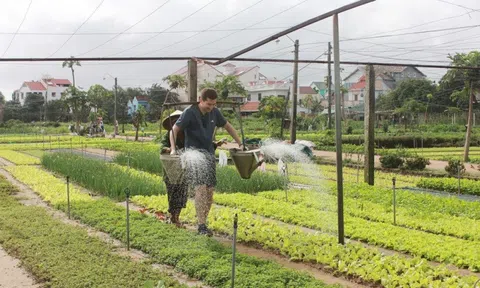 Quảng Nam: Thu hút khách du lịch bằng bộ tiêu chí Du lịch xanh