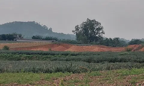 Bỉm Sơn – Thanh Hóa: Xúc đất nông trường đổ vào kho chứa nhà máy gạch