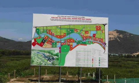 Bình Định: Hai anh em ruột đấu giá cùng một lô đất