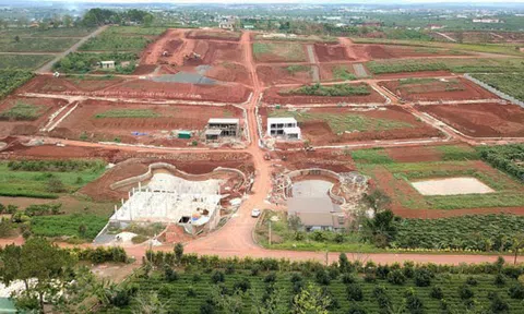 Bảo Lộc (Lâm Đồng): Gần 21,2 ha đất nông nghiệp được phép phân lô, bán nền