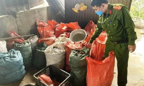 Hà Tĩnh: Phát hiện hơn 1000 kg mỡ động vật, chân gà không rõ nguồn góc