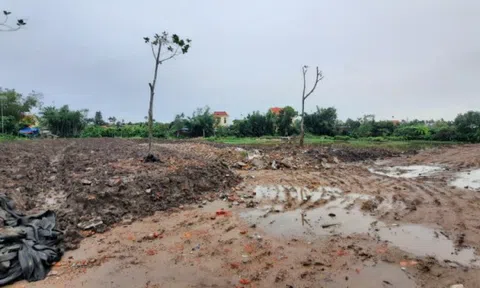 Vi phạm đất đai tại xã Đặng Cương (TP Hải Phòng): Trồng trà hay "trồng nhà"?