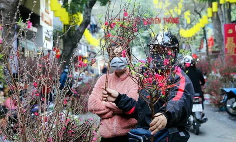 Hà Nội tổ chức 78 điểm chợ hoa Xuân dịp Tết 2022