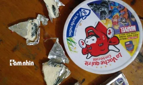 Phát hiện sản phẩm phô mai "Con bò cười" của công ty TNHH Bel Việt Nam bị mốc xanh