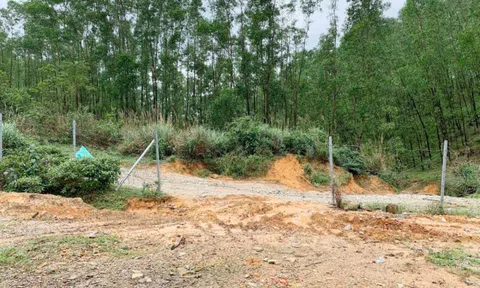 Thừa Thiên - Huế: Tái diễn “nạn” tháo dỡ hàng rào bảo vệ cao tốc