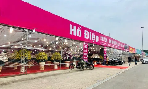 Hà Nội tổ chức Chợ hoa Xuân phục vụ Tết Nhâm Dần 2022