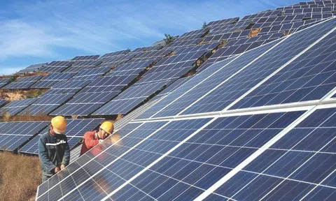 Tổng thống Mỹ Biden gia hạn thuế quan đối với sản phẩm pin Mặt Trời