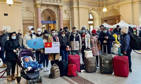 Đã sơ tán hơn 3.500 người Việt khỏi vùng chiến sự Ukraine