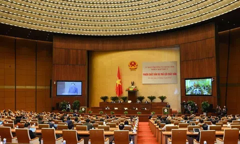 Ủy ban Thường vụ Quốc hội chất vấn Bộ trưởng Trần Hồng Hà