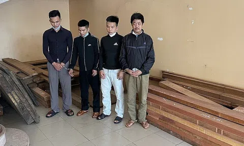 Nghệ An: Bắt nhóm đối tượng chuyên kéo xe lôi đi trộm gỗ