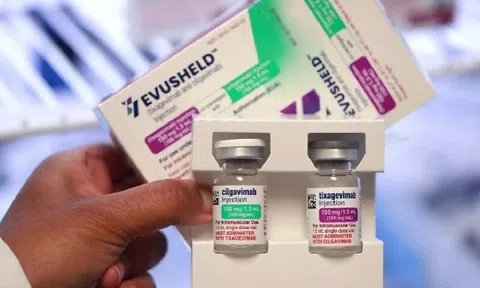 Thuốc trị COVID-19 AstraZeneca vô hiệu hoá các biến thể phụ của Omicron