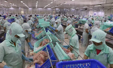 Những tín hiệu vui sau một năm thực thi hiệp định UKVFTA
