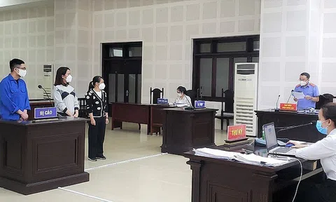 Người giúp việc được thuê làm giám đốc để bảo lãnh "chuyên gia dởm" nhập cảnh trái phép
