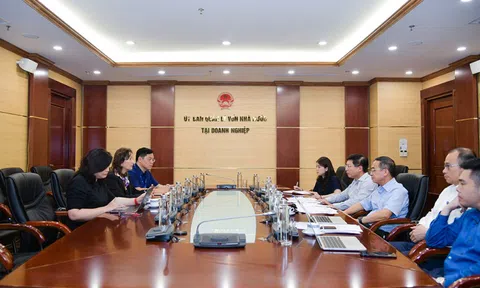 Tăng cường hợp tác quốc tế trong lĩnh vực chuyển dịch năng lượng