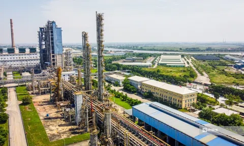 Nhà máy Đạm Ninh Bình "xanh hơn" sau chuyến khảo sát của Thủ tướng