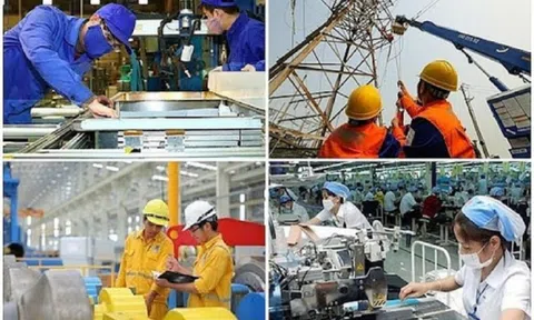 Chính sách với người lao động dôi dư khi sắp xếp lại công ty TNHH do Nhà nước nắm 100% vốn điều lệ