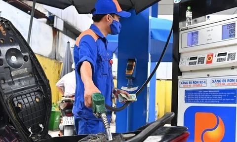 24 doanh nghiệp kinh doanh xăng dầu có dấu hiệu vi phạm