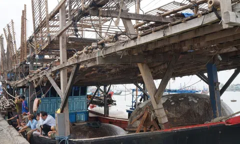 Quảng Nam tăng tốc chống khai thác IUU, sẵn sàng đón Đoàn thanh tra EC lần thứ 5