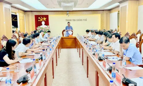 Thanh tra Chính phủ đẩy nhanh tiến độ ban hành kết luận thanh tra