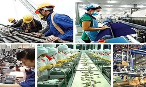 Kế hoạch hành động của Chính phủ về phát triển kinh tế tư nhân