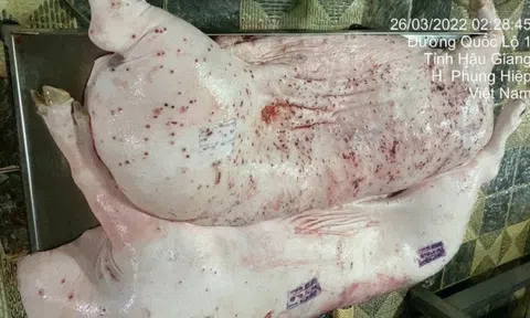 Ngành Nông nghiệp đề nghị Bộ Công an vào cuộc vụ 'C.P. Việt Nam bị tố cáo bán thịt lợn bệnh'