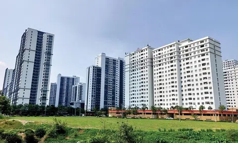Doanh nghiệp cần biết gì về bồi thường khi Nhà nước thu hồi đất theo Luật Đất đai 2024?
